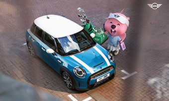 BMWx잔망루피